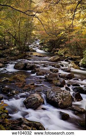 Autumn, Tremont, Great Smoky Mountains National Park, TN View Large Photo Image Stock Image - Autumn, Tremont, Great Smoky Mountains National Park, TN. Fotosearch