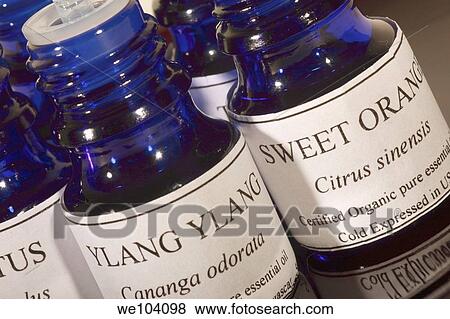 Blue glass bottles of essential oils used for aromatherapy treatments View Large Photo Image Stock Photo - Blue glass bottles of essential oils used for aromatherapy treatments. Fotosearch