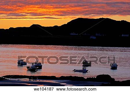 Boats at Sunst at Fionnphort and isle of Iona at background, Mull, Inner Hebrides, Argyll and Bute, Scotland, United Kingdom, Europe View Large Photo Image Stock Photo - Boats at Sunst at Fionnphort and isle of Iona at background, Mull, Inner Hebrides, Argyll and Bute, Scotland, United Kingdom, Europe. Fotosearch