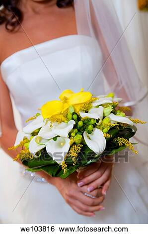 Bride holding the wedding bouquet View Large Photo Image Stock Photograph - Bride holding the wedding bouquet. Fotosearch