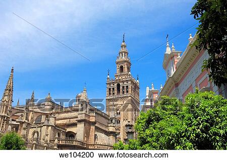 Cathedral and Giralda tower, Seville, Andalusia, Spain View Large Photo Image Stock Image - Cathedral and Giralda tower, Seville, Andalusia, Spain. Fotosearch