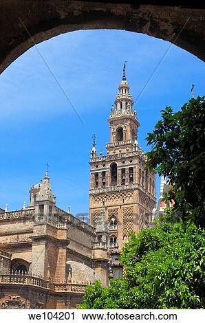 Cathedral and Giralda tower, Seville, Andalusia, Spain View Large Photo Image Stock Image - Cathedral and Giralda tower, Seville, Andalusia, Spain. Fotosearch