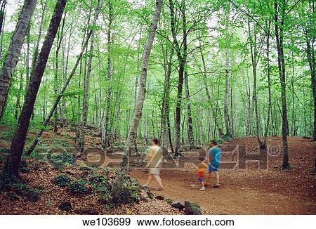 Family walking across Fageda d´en Jordá forest La Garrotxa Nature Reserve, Gerona province, Cataluña, Spain View Large Photo Image Stock Photo - Family walking across Fageda d´en Jordá forest La Garrotxa Nature Reserve, Gerona province, Cataluña, Spain. Fotosearch