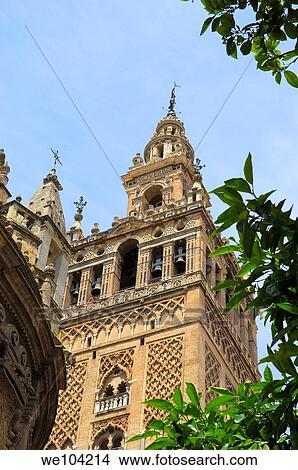 Giralda tower, Seville, Andalusia, Spain View Large Photo Image Picture - Giralda tower, Seville, Andalusia, Spain. Fotosearch