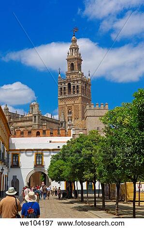 Giralda tower, Seville, Andalusia, Spain View Large Photo Image Stock Photo - Giralda tower, Seville, Andalusia, Spain. Fotosearch