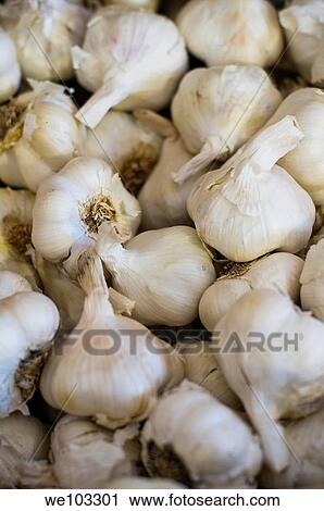Loose Garlic View Large Photo Image Stock Image - Loose Garlic. Fotosearch