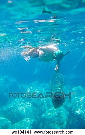 Man fishing underwater for sea urchins Island of Pantelleria, Sicily, Italy View Large Photo Image Stock Image - Man fishing underwater for sea urchins Island of Pantelleria, Sicily, Italy. Fotosearch