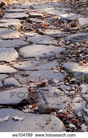 Old ancient Roman road Tuscolo national park Italy View Large Photo Image Stock Photo - Old ancient Roman road Tuscolo national park Italy. Fotosearch