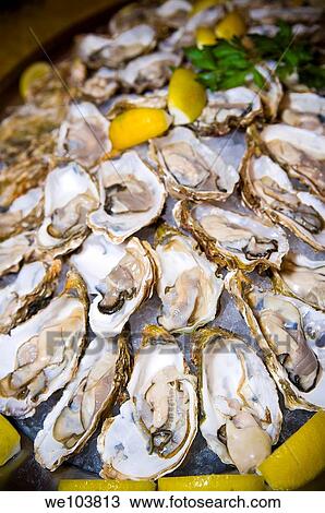 Oysters View Large Photo Image Stock Image - Oysters. Fotosearch
