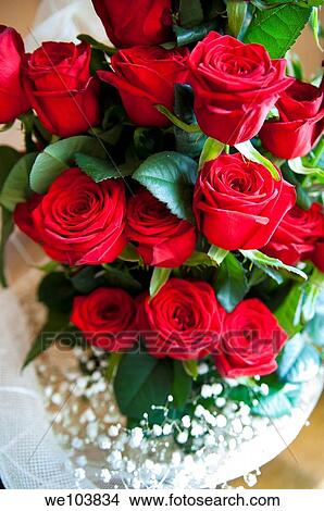 Red roses View Large Photo Image Picture - Red roses. Fotosearch