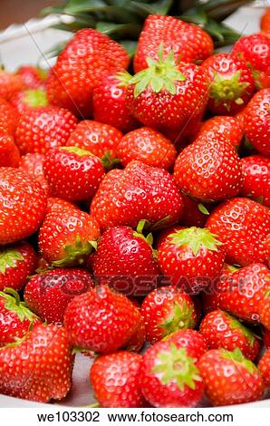 Strawberries View Large Photo Image Stock Image - Strawberries. Fotosearch