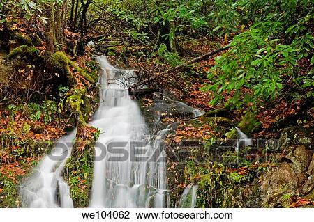 Stream, Oconaluftee area, Autumn, Great Smoky Mtns National Park, NC View Large Photo Image Stock Image - Stream, Oconaluftee area, Autumn, Great Smoky Mtns National Park, NC. Fotosearch