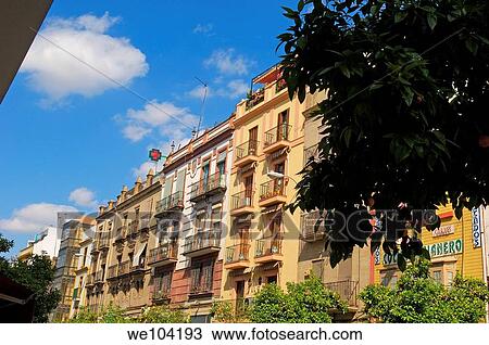 Typical façades in Santa Cruz neighborhood, Seville, Andalusia, Spain View Large Photo Image Stock Image - Typical façades in Santa Cruz neighborhood, Seville, Andalusia, Spain. Fotosearch