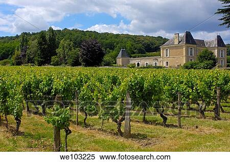 Vineyards near Chinon, Indre-et-Loire, Loire Valley, France View Large Photo Image Stock Photography - Vineyards near Chinon, Indre-et-Loire, Loire Valley, France. Fotosearch