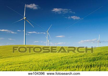 wind turbine station in a field Sanlucar de Barrameda, Cadiz, Andalusia, Spain View Large Photo Image Stock Photograph - wind turbine station in a field Sanlucar de Barrameda, Cadiz, Andalusia, Spain. Fotosearch