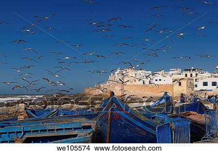 A flock of seagulls near fishermen cleaning their catch with blue boats and Essaouira ramparts, Morocco View Large Photo Image Picture - A flock of seagulls near fishermen cleaning their catch with blue boats and Essaouira ramparts, Morocco. Fotosearch