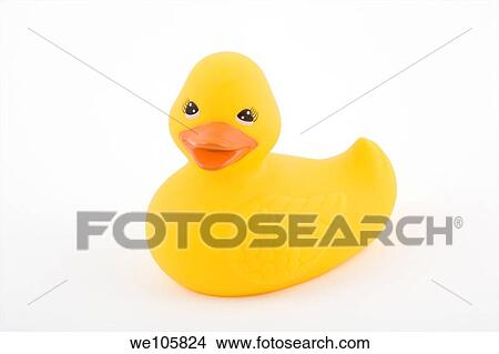 A toy rubber duckie photographed in a studio on a white background View Large Photo Image Picture - A toy rubber duckie photographed in a studio on a white background. Fotosearch