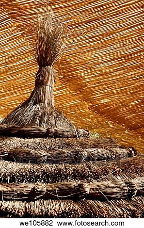 Abstract of straw umbrella and bamboo roof inside Kasbah Amerhidil in the Skoura oasis Morocco View Large Photo Image Stock Image - Abstract of straw umbrella and bamboo roof inside Kasbah Amerhidil in the Skoura oasis Morocco. Fotosearch