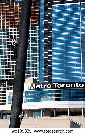Abstract of Woodpecker Column at Metro Toronto Convention Center with highrise towers View Large Photo Image Stock Photography - Abstract of Woodpecker Column at Metro Toronto Convention Center with highrise towers. Fotosearch