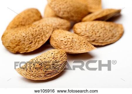 Almonds in shell On white Background View Large Photo Image Stock Photograph - Almonds in shell On white Background. Fotosearch