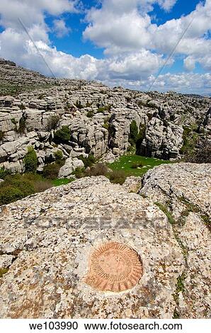 Stock Image - Ammonite fossil at theTorcal in Antequera, erosion working on Jurassic limestones, Malaga province, Andalusia, Spain. Fotosearch