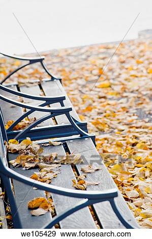 Benches and fall leaves View Large Photo Image Stock Photo - Benches and fall leaves. Fotosearch