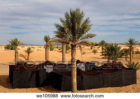 Berber tents and palm trees in sand at the edge of the desert in Khemlia Morocco View Large Photo Image Stock Photo - Berber tents and palm trees in sand at the edge of the desert in Khemlia Morocco. Fotosearch