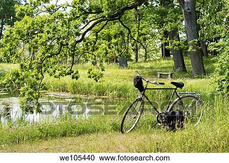 Bicycle parked by a pond, Sweden View Large Photo Image Stock Image - Bicycle parked by a pond, Sweden. Fotosearch