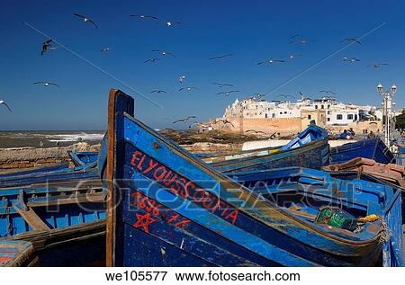 Blue fishing boats and seagulls with ramparts of Essaouira Morocco View Large Photo Image Stock Photo - Blue fishing boats and seagulls with ramparts of Essaouira Morocco. Fotosearch