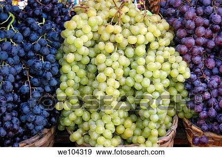 Stock Photo - Bunches of black and green grapes. Fotosearch