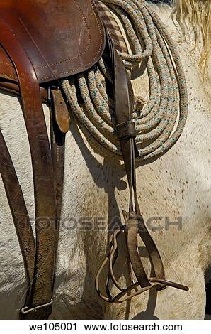 Camargue horse saddle, Aigues-Mortes. Petite Camargue, Gard, Languedoc-Roussillon, France View Large Photo Image Stock Image - Camargue horse saddle, Aigues-Mortes. Petite Camargue, Gard, Languedoc-Roussillon, France. Fotosearch