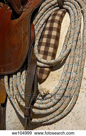 Camargue horse saddle, Aigues-Mortes. Petite Camargue, Gard, Languedoc-Roussillon, France View Large Photo Image Stock Photo - Camargue horse saddle, Aigues-Mortes. Petite Camargue, Gard, Languedoc-Roussillon, France. Fotosearch