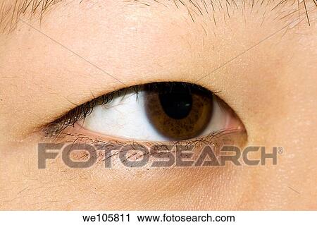 Stock Image - Close up of an eye of an Asian female. Fotosearch