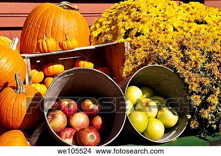 Colorful autumn display of flowers and fruit View Large Photo Image Picture - Colorful autumn display of flowers and fruit. Fotosearch