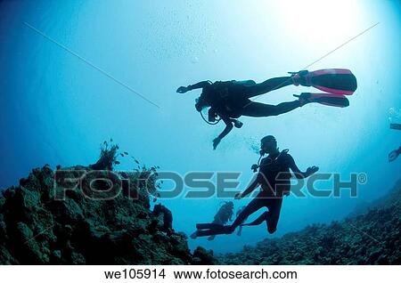 Cuba divers in the water photographed at Ras Mohammed National Park, Red Sea, Sinai, Egypt, View Large Photo Image Picture - Cuba divers in the water photographed at Ras Mohammed National Park, Red Sea, Sinai, Egypt,. Fotosearch