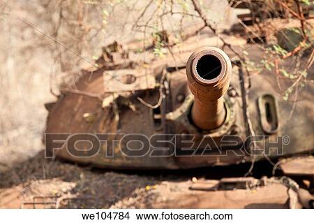 Picture - Destroyed northern Sudanese tank, Juba-Bor road, southern Sudan, December 2010. Fotosearch