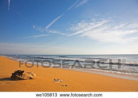 Early morning light on the rich colored sand and surf of the beach View Large Photo Image Stock Image - Early morning light on the rich colored sand and surf of the beach. Fotosearch