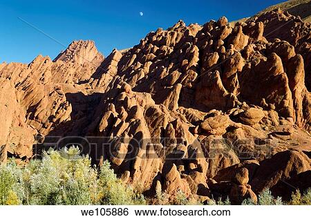 Evening light on limestone rock fingers and poplar trees with moon in Dades Gorge Morocco View Large Photo Image Stock Photograph - Evening light on limestone rock fingers and poplar trees with moon in Dades Gorge Morocco. Fotosearch