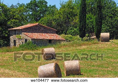 Fields with straw bales at Sault, Vaucluse, Provence-Alpes-Côte d´Azur, France View Large Photo Image Stock Photo - Fields with straw bales at Sault, Vaucluse, Provence-Alpes-Côte d´Azur, France. Fotosearch