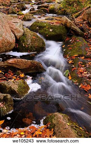 Flowing stream on the Blanchet Trail Gatineau Park in the Fall View Large Photo Image Stock Image - Flowing stream on the Blanchet Trail Gatineau Park in the Fall. Fotosearch