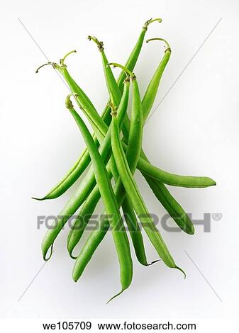 Fresh fine beans View Large Photo Image Stock Photo - Fresh fine beans. Fotosearch