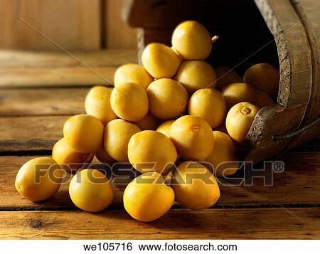Fresh whole dates View Large Photo Image Stock Photograph - Fresh whole dates. Fotosearch