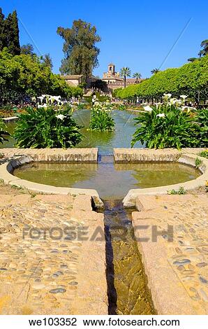 Gardens of the Alcazar de los Reyes Cristianos (Alcazar of the Christian Monarchs), Cordoba, Andalusia, Spain View Large Photo Image Stock Image - Gardens of the Alcazar de los Reyes Cristianos (Alcazar of the Christian Monarchs), Cordoba, Andalusia, Spain. Fotosearch