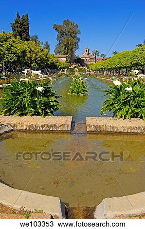 Gardens of the Alcazar de los Reyes Cristianos (Alcazar of the Christian Monarchs), Cordoba, Andalusia, Spain View Large Photo Image Stock Image - Gardens of the Alcazar de los Reyes Cristianos (Alcazar of the Christian Monarchs), Cordoba, Andalusia, Spain. Fotosearch