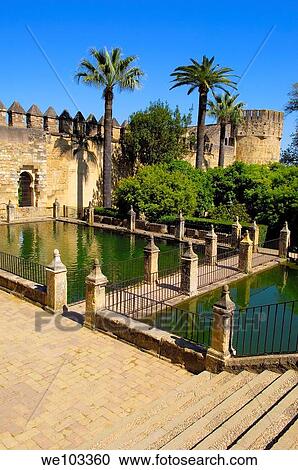 Gardens of the Alcazar de los Reyes Cristianos (Alcazar of the Christian Monarchs), Cordoba, Andalusia, Spain View Large Photo Image Stock Image - Gardens of the Alcazar de los Reyes Cristianos (Alcazar of the Christian Monarchs), Cordoba, Andalusia, Spain. Fotosearch