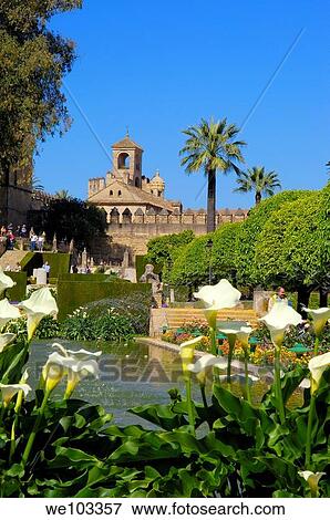Gardens of the Alcazar de los Reyes Cristianos (Alcazar of the Christian Monarchs), Cordoba, Andalusia, Spain View Large Photo Image Stock Photo - Gardens of the Alcazar de los Reyes Cristianos (Alcazar of the Christian Monarchs), Cordoba, Andalusia, Spain. Fotosearch