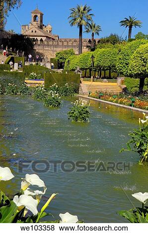 Gardens of the Alcazar de los Reyes Cristianos (Alcazar of the Christian Monarchs), Cordoba, Andalusia, Spain View Large Photo Image Stock Photo - Gardens of the Alcazar de los Reyes Cristianos (Alcazar of the Christian Monarchs), Cordoba, Andalusia, Spain. Fotosearch