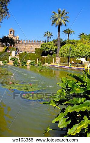Gardens of the Alcazar de los Reyes Cristianos (Alcazar of the Christian Monarchs), Cordoba, Andalusia, Spain View Large Photo Image Stock Photograph - Gardens of the Alcazar de los Reyes Cristianos (Alcazar of the Christian Monarchs), Cordoba, Andalusia, Spain. Fotosearch