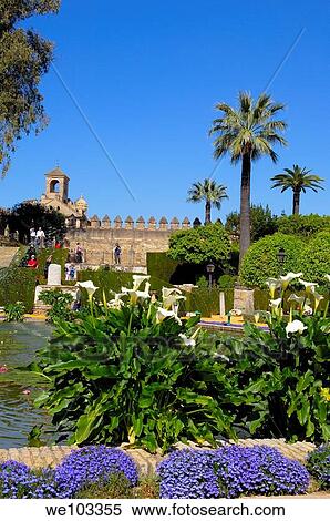 Gardens of the Alcazar de los Reyes Cristianos (Alcazar of the Christian Monarchs), Cordoba, Andalusia, Spain View Large Photo Image Stock Photography - Gardens of the Alcazar de los Reyes Cristianos (Alcazar of the Christian Monarchs), Cordoba, Andalusia, Spain. Fotosearch