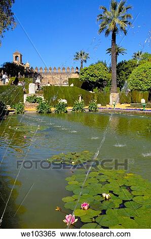 Gardens of the Alcazar de los Reyes Cristianos (Alcazar of the Christian Monarchs), Cordoba, Andalusia, Spain View Large Photo Image Stock Photography - Gardens of the Alcazar de los Reyes Cristianos (Alcazar of the Christian Monarchs), Cordoba, Andalusia, Spain. Fotosearch